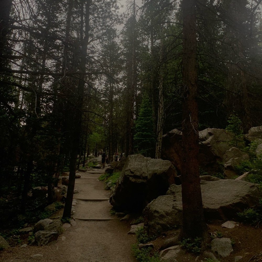 Meet your Posher, Addy